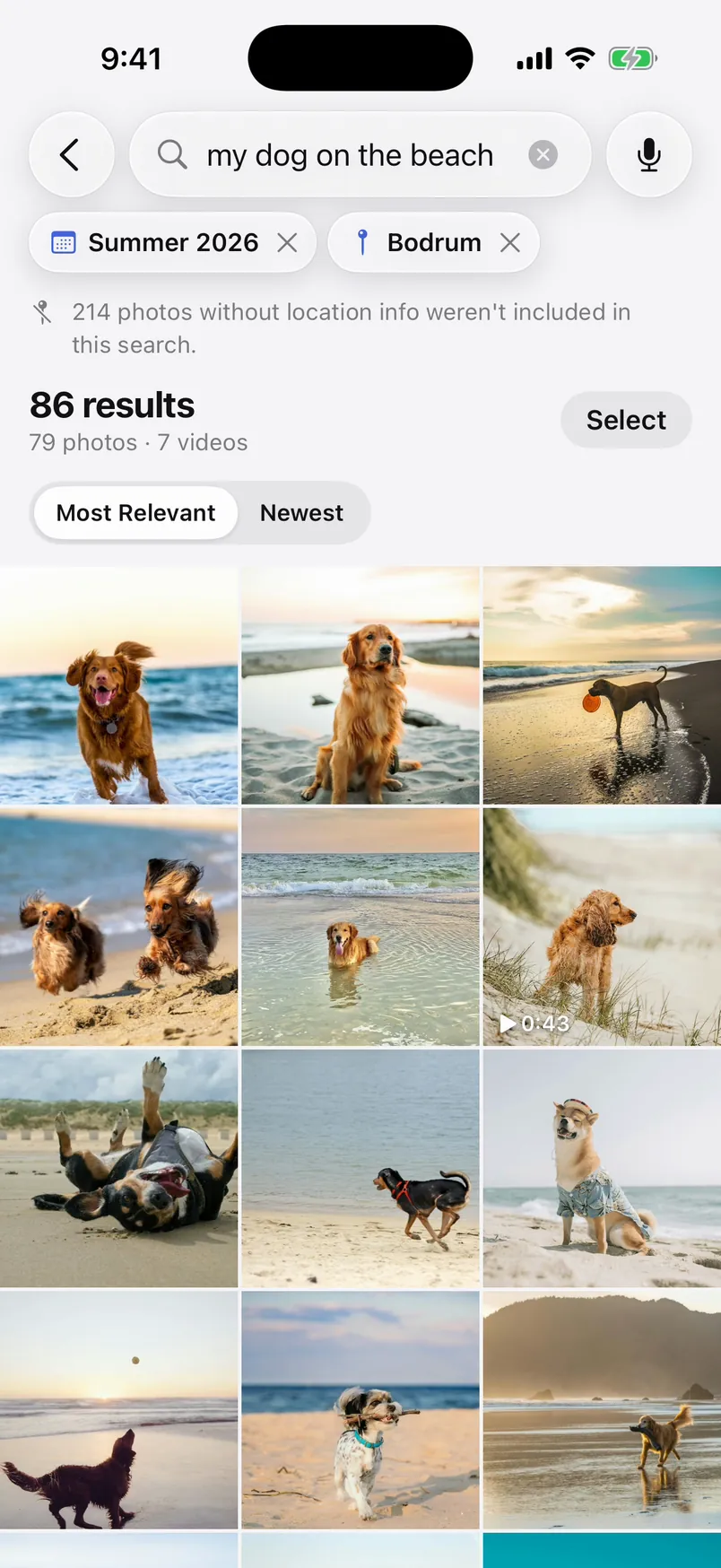Search results for “my dog on the beach”: 86 results with Summer 2026 and Bodrum filters, a grid of beach photos with dogs.