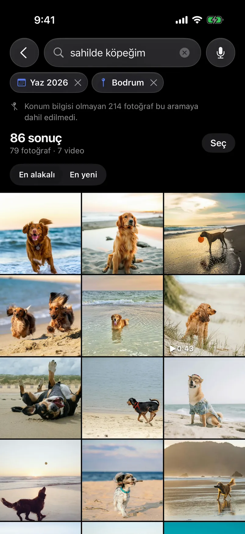 “sahilde köpeğim” arama sonuçları: Yaz 2026 ve Bodrum filtreleriyle 86 sonuç, sahilde köpek fotoğraflarından oluşan bir ızgara.